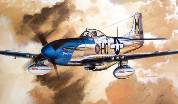 Tamiya P-51D 1/48