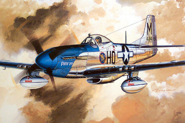 Tamiya’s P-51D 1/48 Box Art Tamiya P-51D 1/48